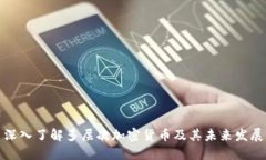 深入了解多层次加密货币