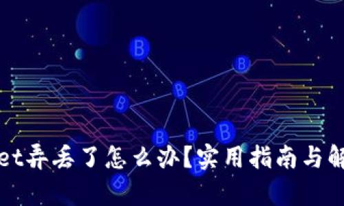 tpWallet弄丢了怎么办？实用指南与解决方案