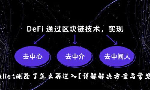 tpWallet删除了怎么再进入？详解解决方案与常见问题