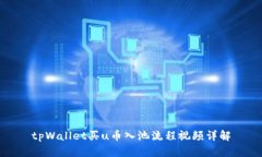 tpWallet买u币入池流程视频