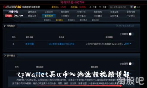 tpWallet买u币入池流程视频详解