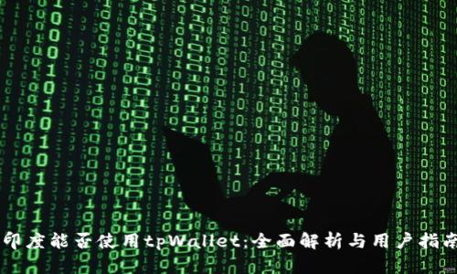 印度能否使用tpWallet：全面解析与用户指南
