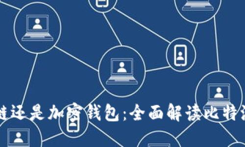 比特派是区块链还是加密钱包：全面解读比特派的功能与特点