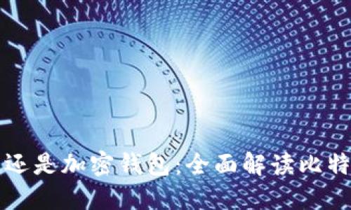 比特派是区块链还是加密钱包：全面解读比特派的功能与特点