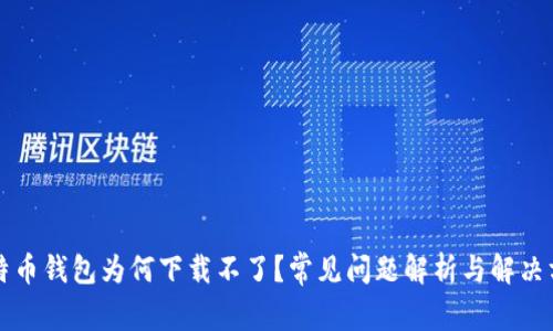 比特币钱包为何下载不了？常见问题解析与解决方案