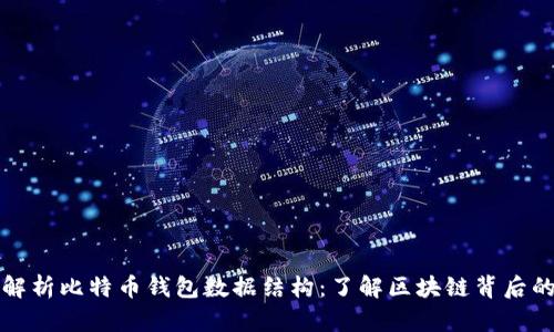 深入解析比特币钱包数据结构：了解区块链背后的秘密