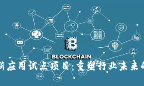 区块链创新应用试点项目：重塑行业未来的探索之路