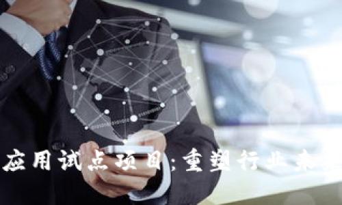 区块链创新应用试点项目：重塑行业未来的探索之路