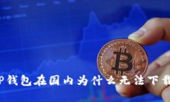 TP钱包在国内为什么无法下