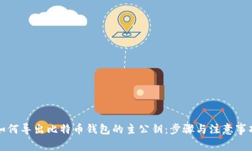 如何导出比特币钱包的主公钥：步骤与注意事项