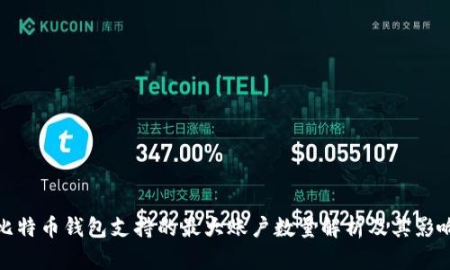 比特币钱包支持的最大账户数量解析及其影响