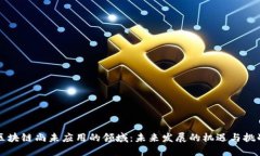 区块链尚未应用的领域：未来发展的机遇与挑战