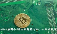 tpWallet在哪个网？全面解析