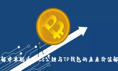 理解中本聪币BTCs公链与TP钱包的未来价值解析