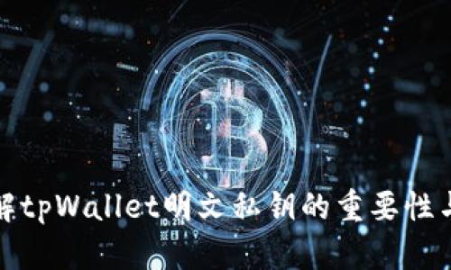 深入了解tpWallet明文私钥的重要性与安全性