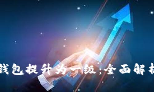 如何将数字钱包提升为一级：全面解析与实用指南
