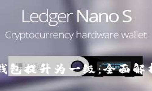 如何将数字钱包提升为一级：全面解析与实用指南