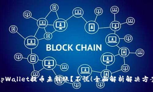 tpWallet提币未到账？不慌！全面解析解决方案