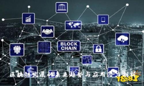 区块链发展的未来趋势与应用潜力剖析