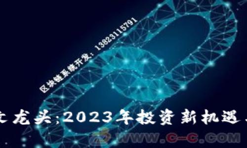 以太坊铭文龙头：2023年投资新机遇与风险分析