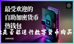 探讨tpWallet是否能进行数字