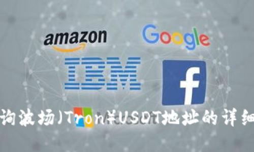 如何快速查询波场（Tron）USDT地址的详细步骤与技巧