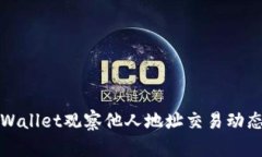 如何使用tpWallet观察他人地