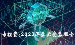 数字货币投资：2023年最大