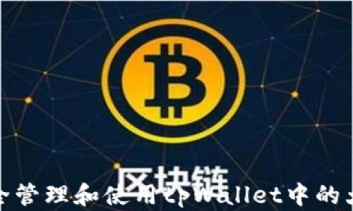 
如何安全管理和使用tpWallet中的大笔资金