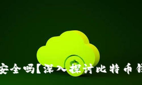 :
比特币钱包安全吗？深入探讨比特币钱包的安全性