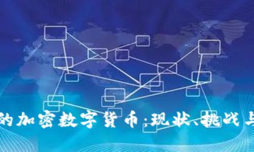 商业领域的加密数字货币：现状、挑战与未来发展