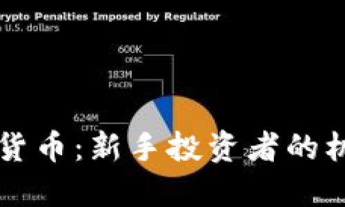 韭菜加密货币：新手投资者的机遇与陷阱
