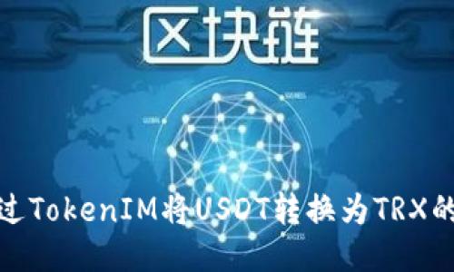 : 如何通过TokenIM将USDT转换为TRX的详细指南