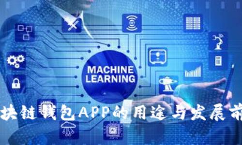 国内区块链钱包APP的用途与发展前景分析