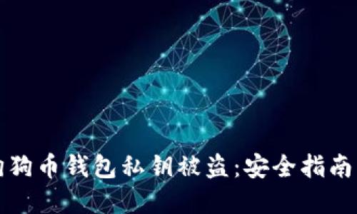 如何防止狗狗币钱包私钥被盗：安全指南与最佳实践