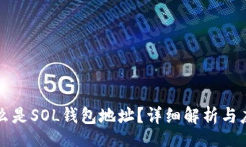 div
什么是SOL钱包地址？详细解析与应用