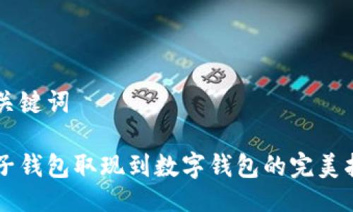 与关键词

电子钱包取现到数字钱包的完美指南