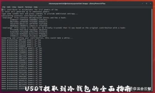 
USDT提取到冷钱包的全面指南