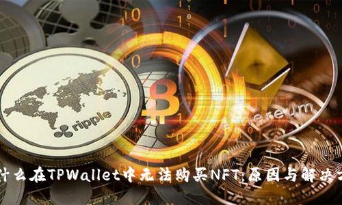 为什么在TPWallet中无法购买NFT：原因与解决方案