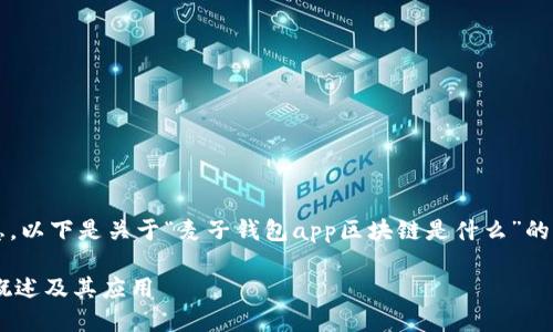 提示: 为了提供有效的信息，以下是关于“麦子钱包app区块链是什么”的、关键词及详细介绍的框架。

麦子钱包APP：区块链技术概述及其应用