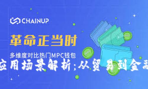 : 区块链跨境应用场景解析：从贸易到金融的多元化应用